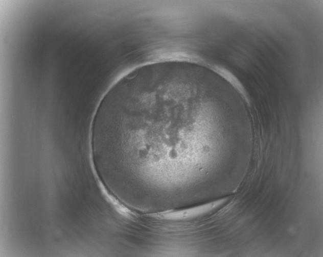 X0000068841439200605081228