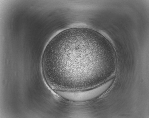 X0000068841440200605081228