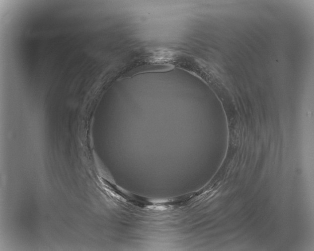 X0000068841441200605081227