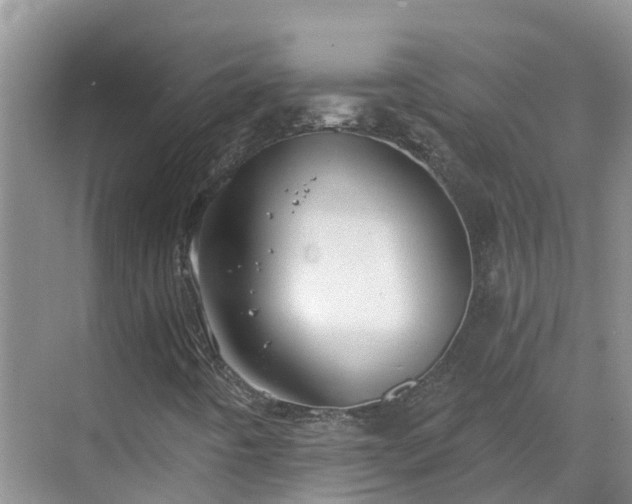 X0000068841442200605081227