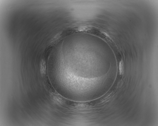 X0000068841443200605081227