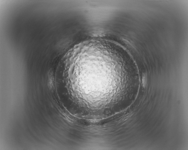 X0000068841444200605081227