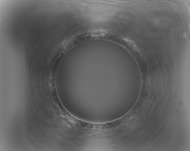 X0000068841445200605081227