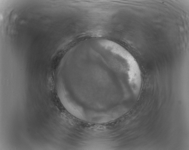 X0000068841446200605081227