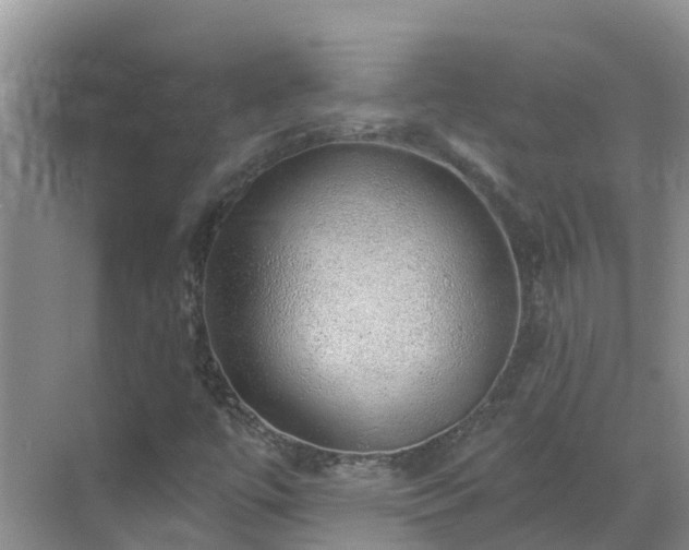 X0000068841447200605081227