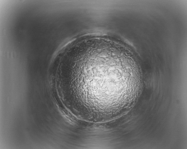 X0000068841448200605081227