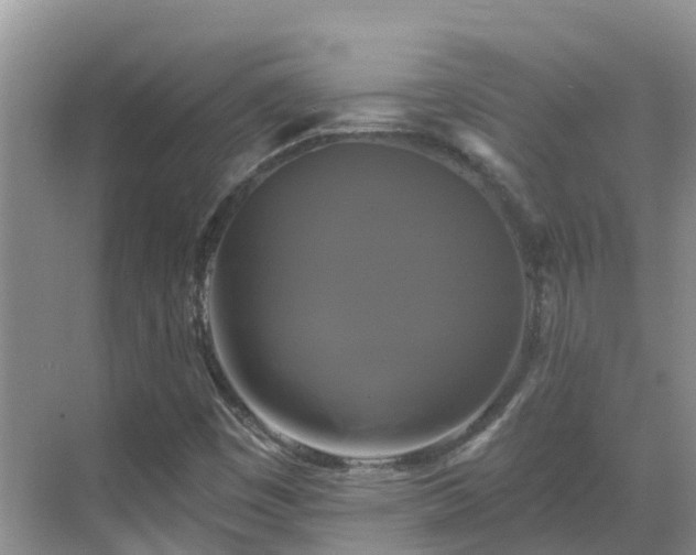 X0000068841449200605081227