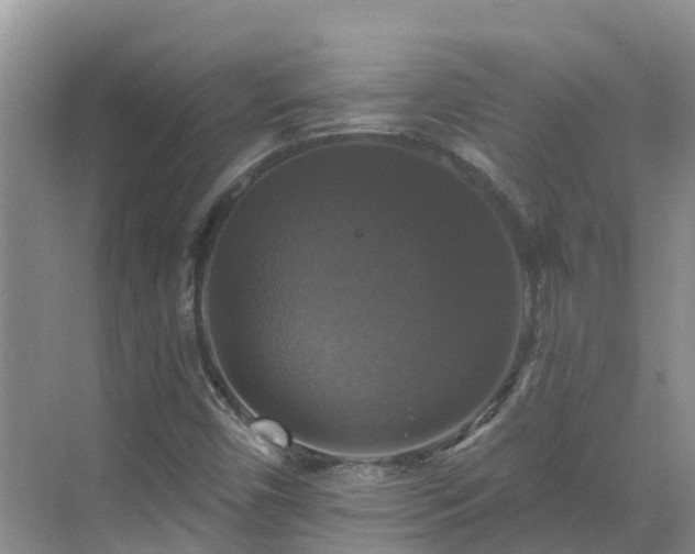 X0000068841450200605081227