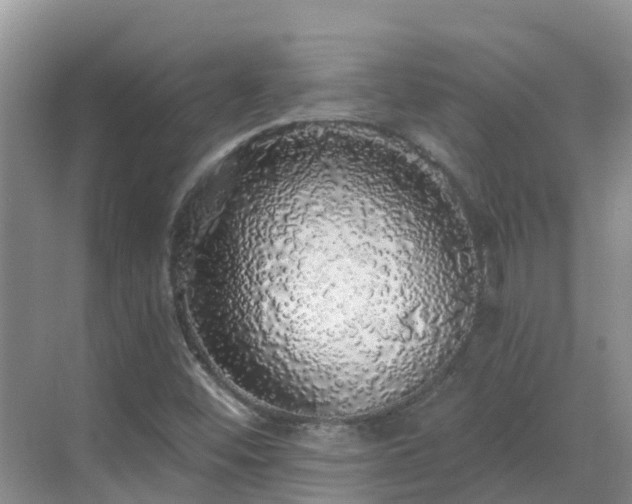 X0000068841452200605081227