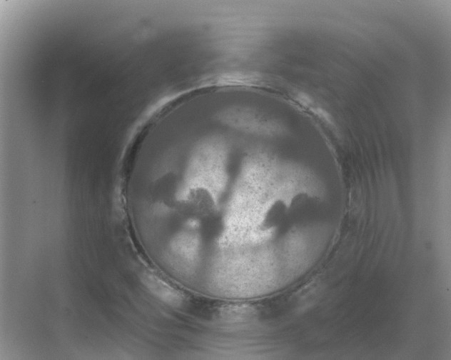 X0000068841454200605081227