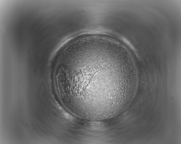 X0000068841456200605081227