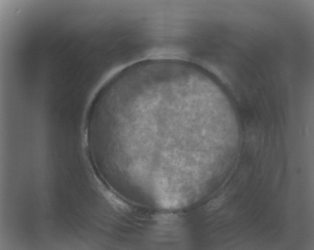 X0000068841462200605081227