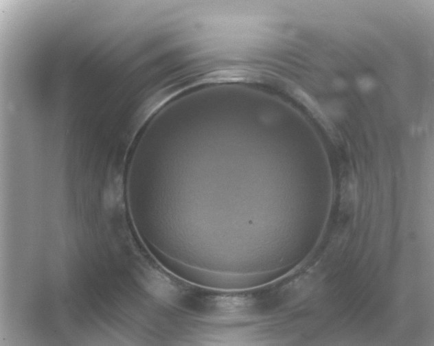 X0000068841465200605081227