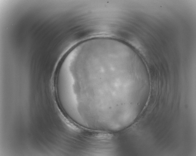 X0000068841466200605081227