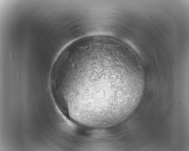 X0000068841468200605081226