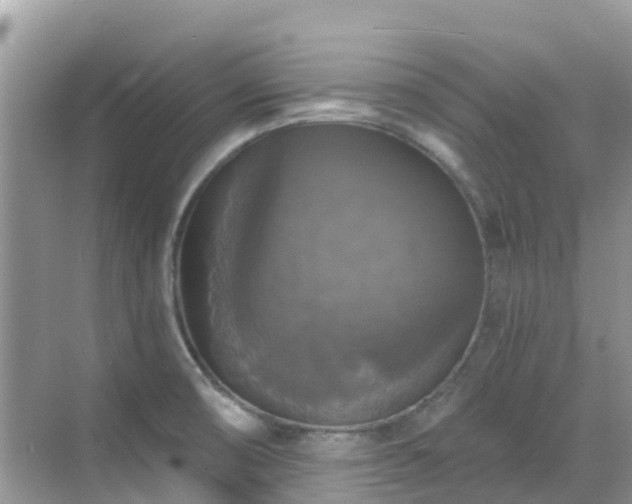 X0000068841474200605081226