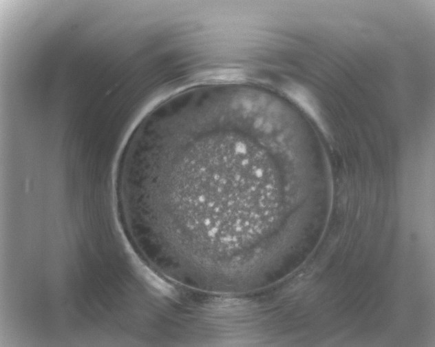 X0000068841475200605081226