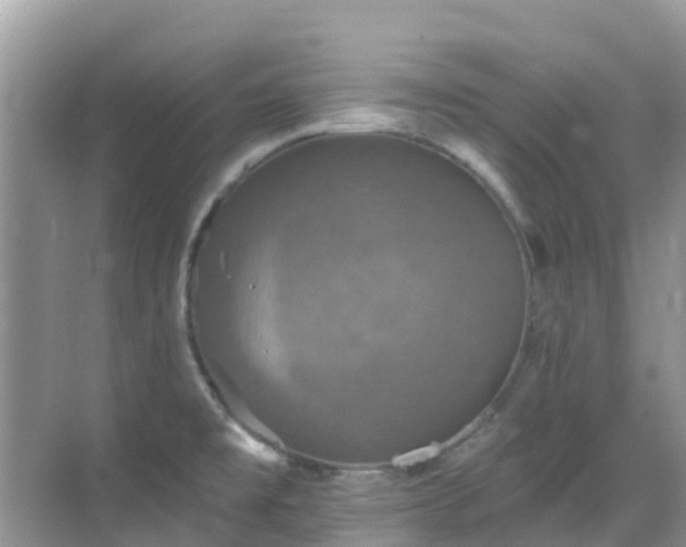 X0000068841477200605081226