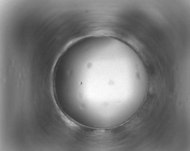 X0000068841478200605081226