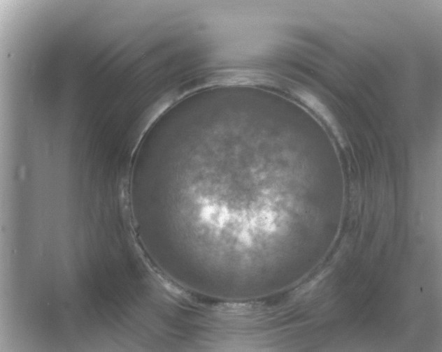 X0000068841481200605081226