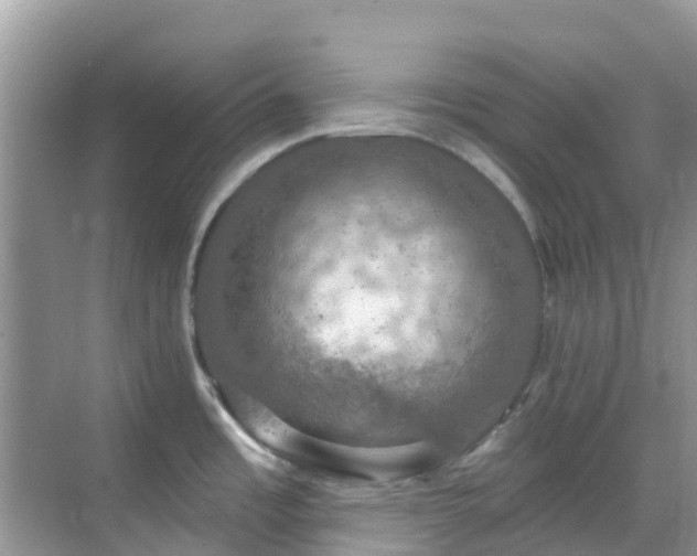 X0000068841485200605081226