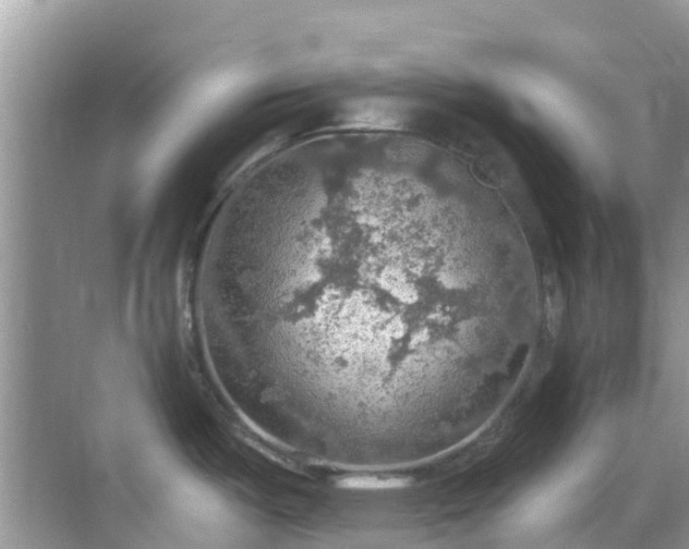 X0000068841487200605081226