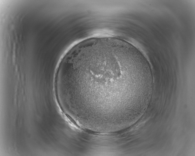 X0000068841488200605081226