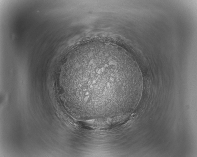 X0000068841489200605081225