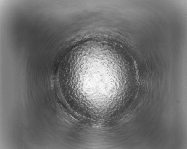 X0000068841490200605081225