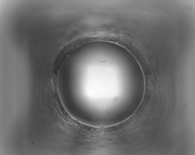 X0000068841493200605081225