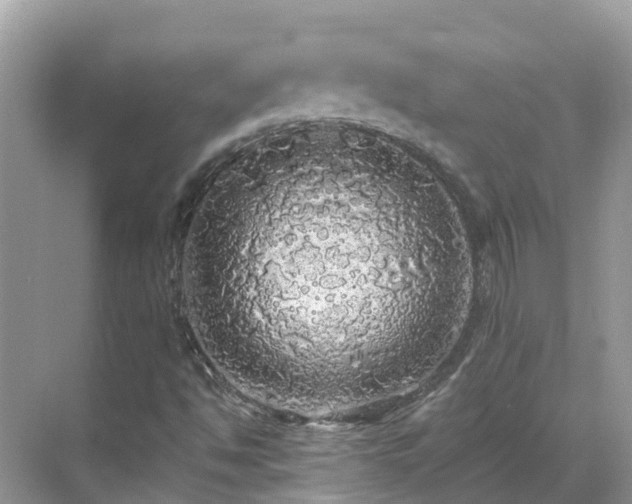 X0000068841494200605081225