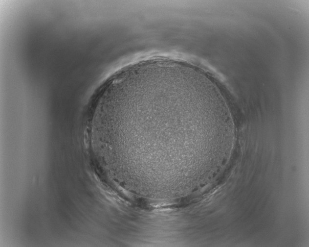 X0000068841496200605081225