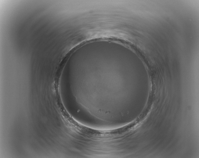 X0000068841497200605081225