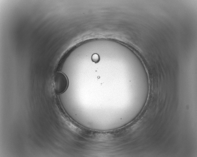 X0000068841498200605081225