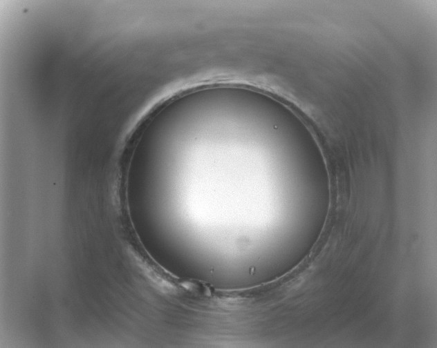 X0000068841502200605081226