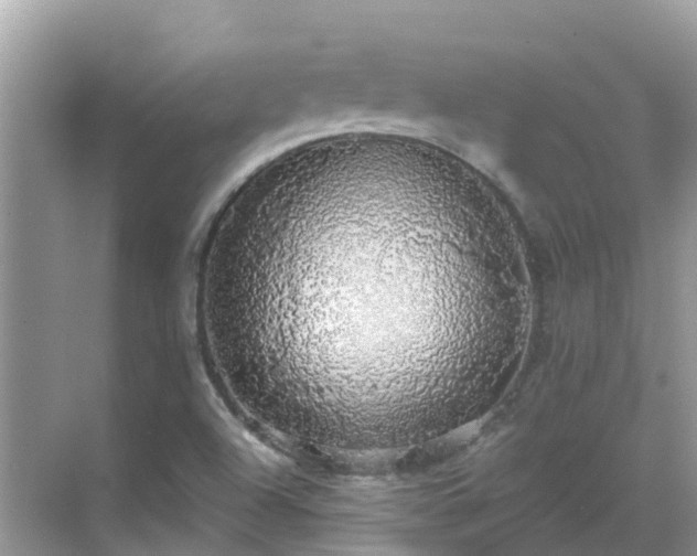 X0000068841504200605081226