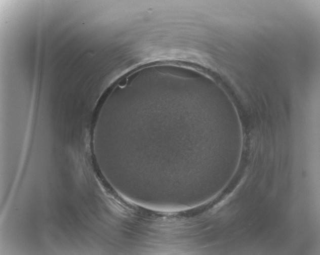 X0000068841505200605081226