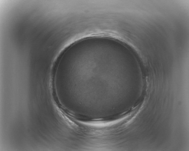 X0000068841506200605081226