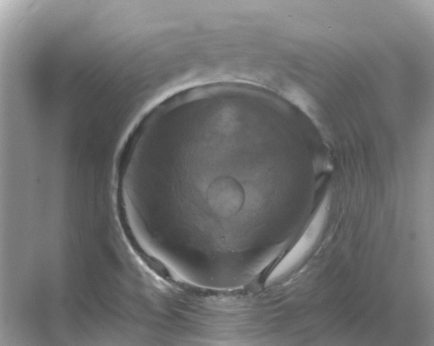 X0000068841508200605081226