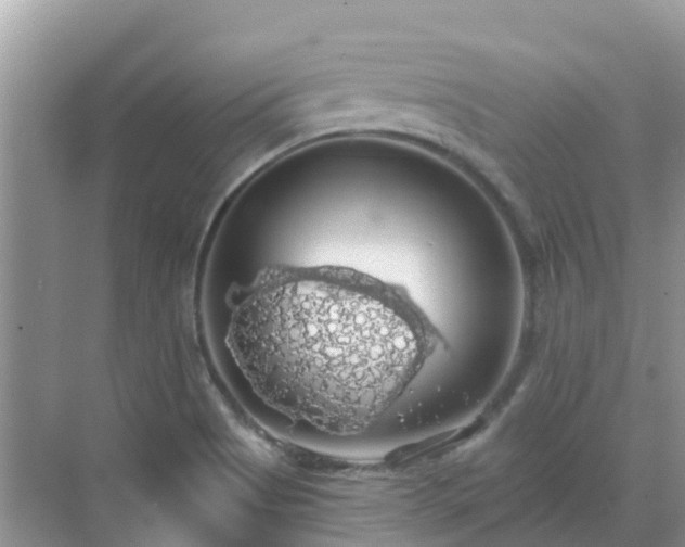 X0000068841513200605081226