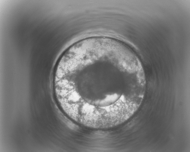 X0000068841514200605081226