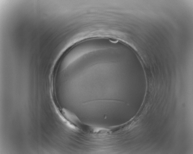 X0000068841515200605081226