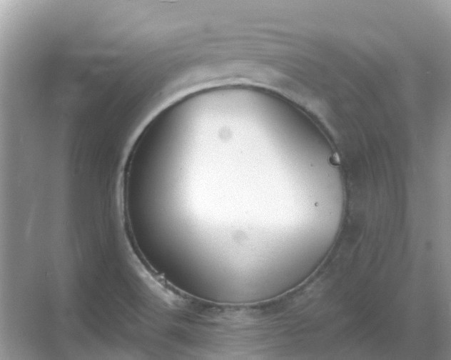 X0000068841516200605081226