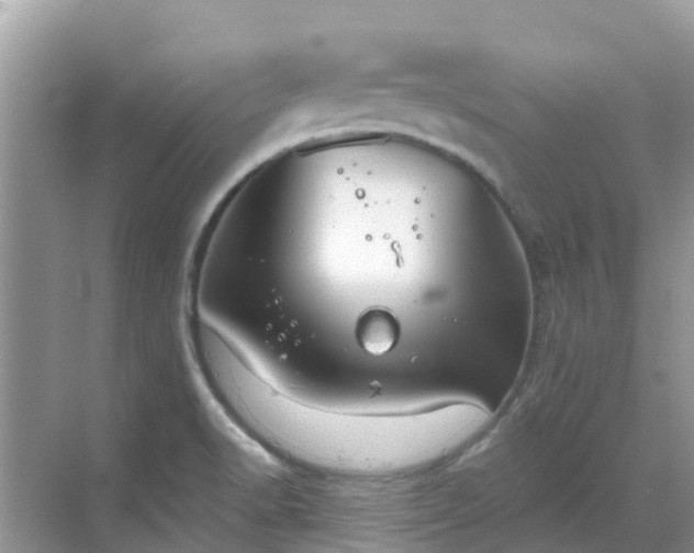 X0000068841518200605081226