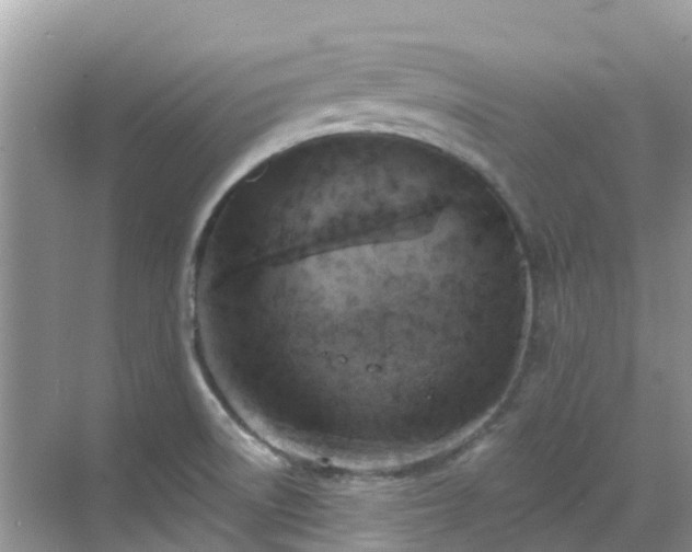 X0000068841522200605081226