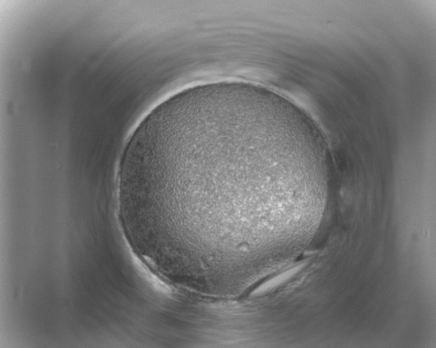 X0000068841524200605081226