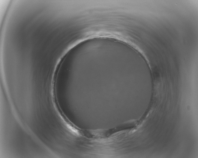 X0000068841525200605081226