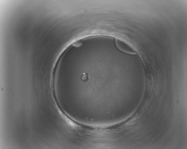 X0000068841527200605081226