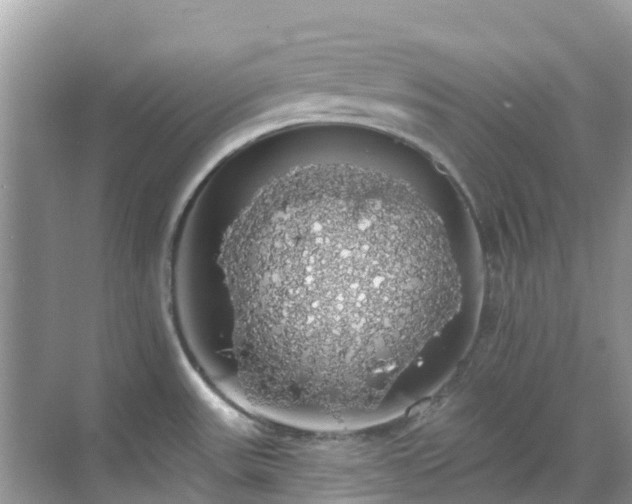 X0000068841531200605081226