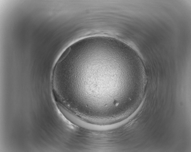 X0000068841532200605081226